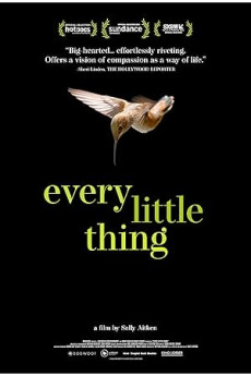 Every Little Thing