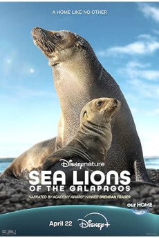 Sea Lions of the Galapagos